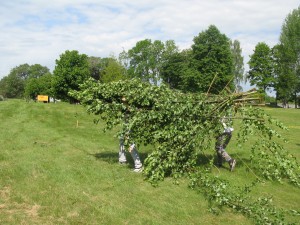 IMG_0058